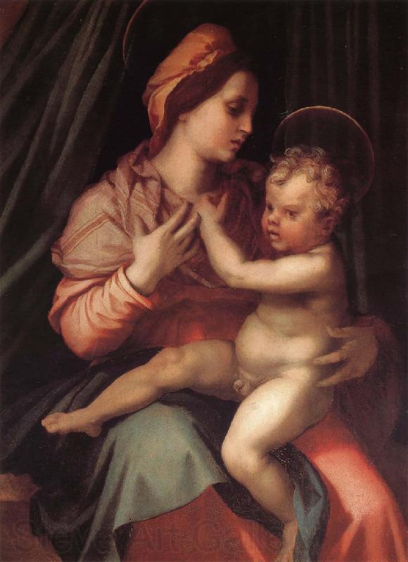 Andrea del Sarto Virgin Mary and her son Norge oil painting art